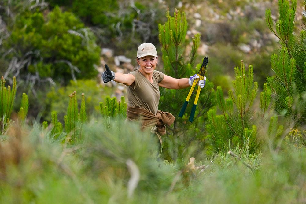 Volunteer Out in the Field