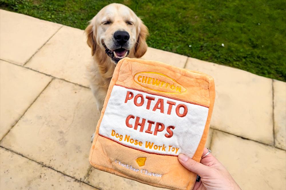 Dog Enrichment Ideas