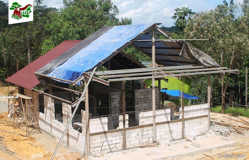 Orangutan baby house