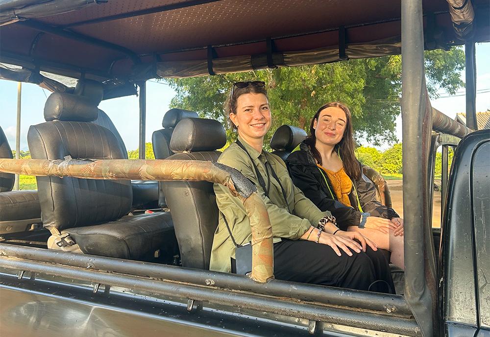 Safari