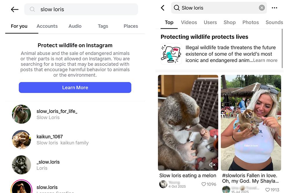 Warnings on Social Media re Wildlife Exploitation