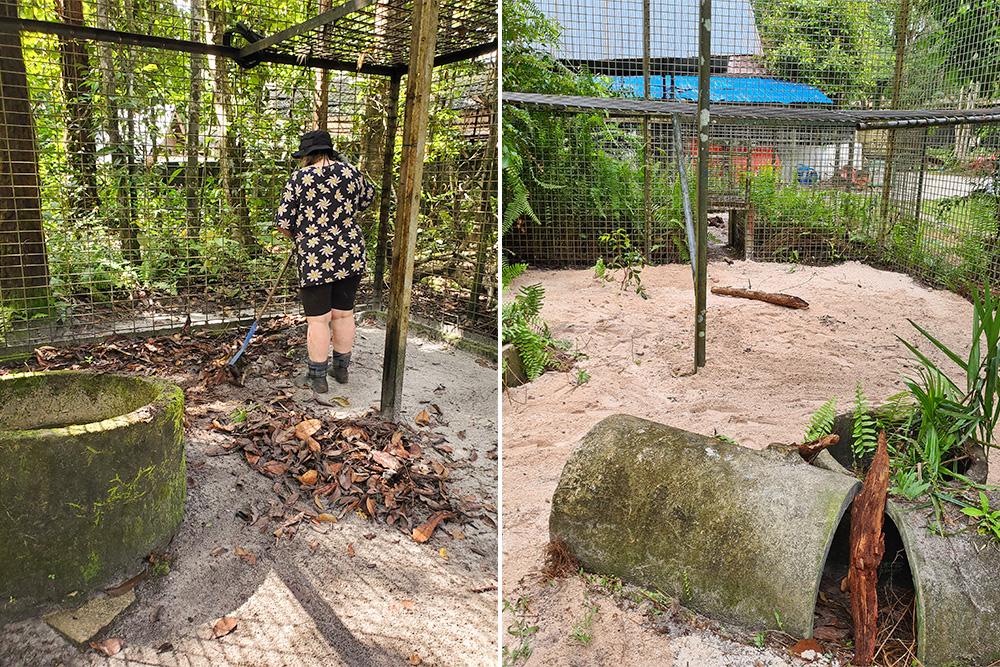 Sun Bear Enclosure