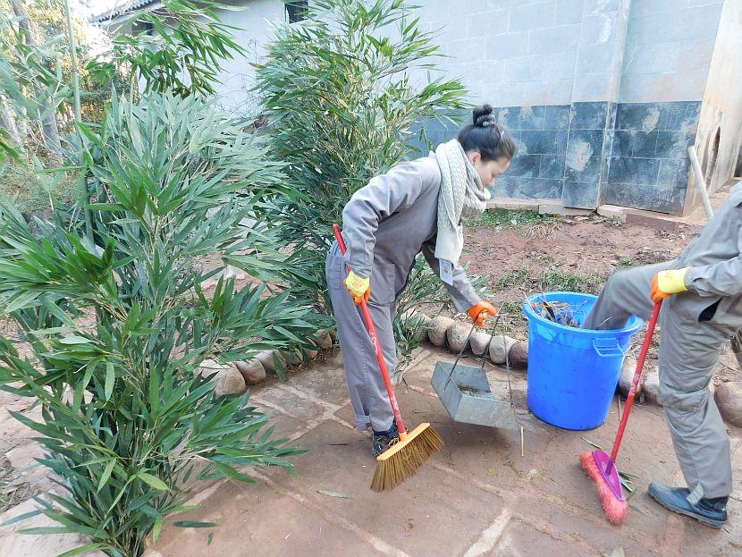 Giant Panda Volunteer