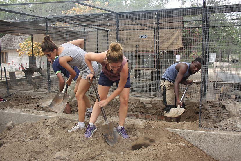 Volunteers Building In Africa