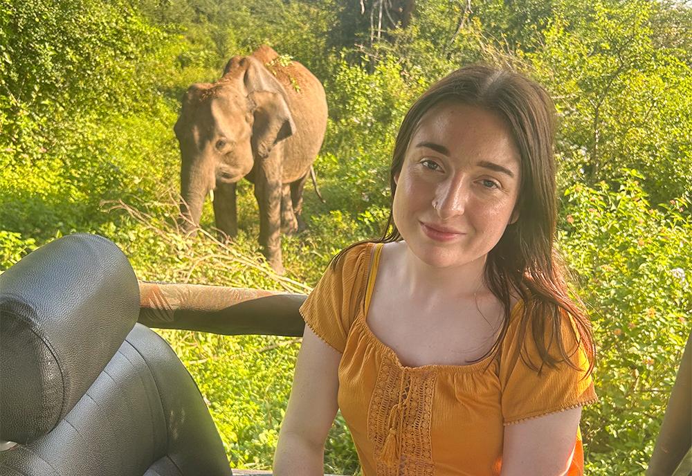 Elephant Sanctuary