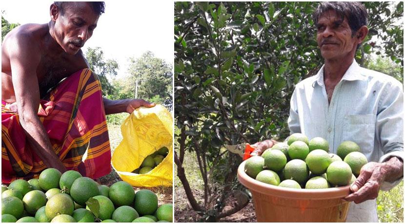 local farmers in Wasgamuwa National Park