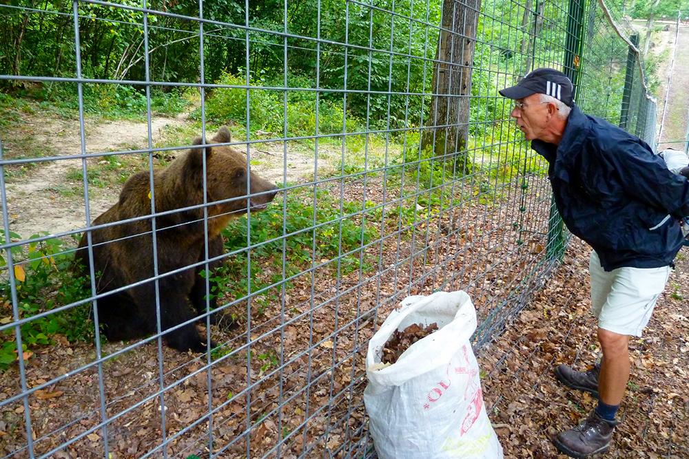 Volunteer and Bear