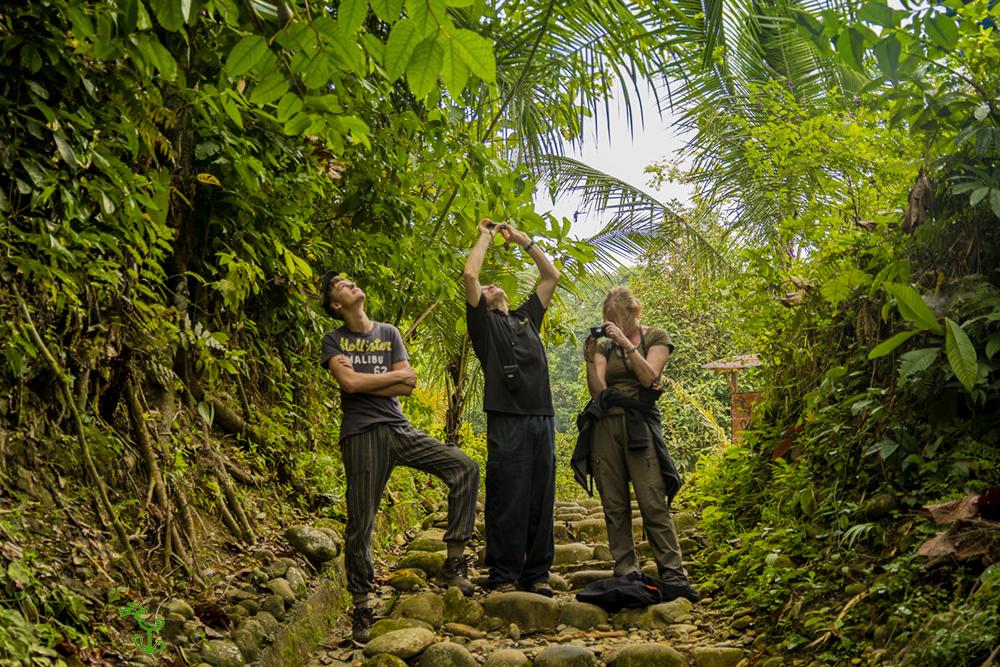 Volunteers and Electronics in the Jungle