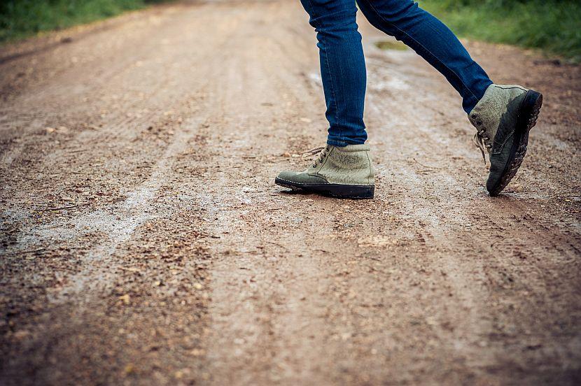 Walking Shoes