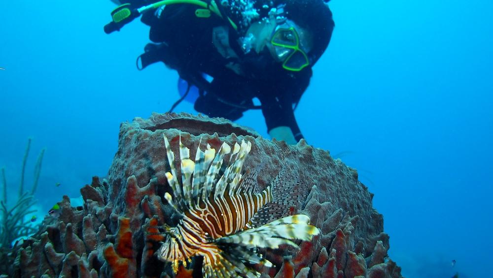 Belize Marine Education & Conservation Project