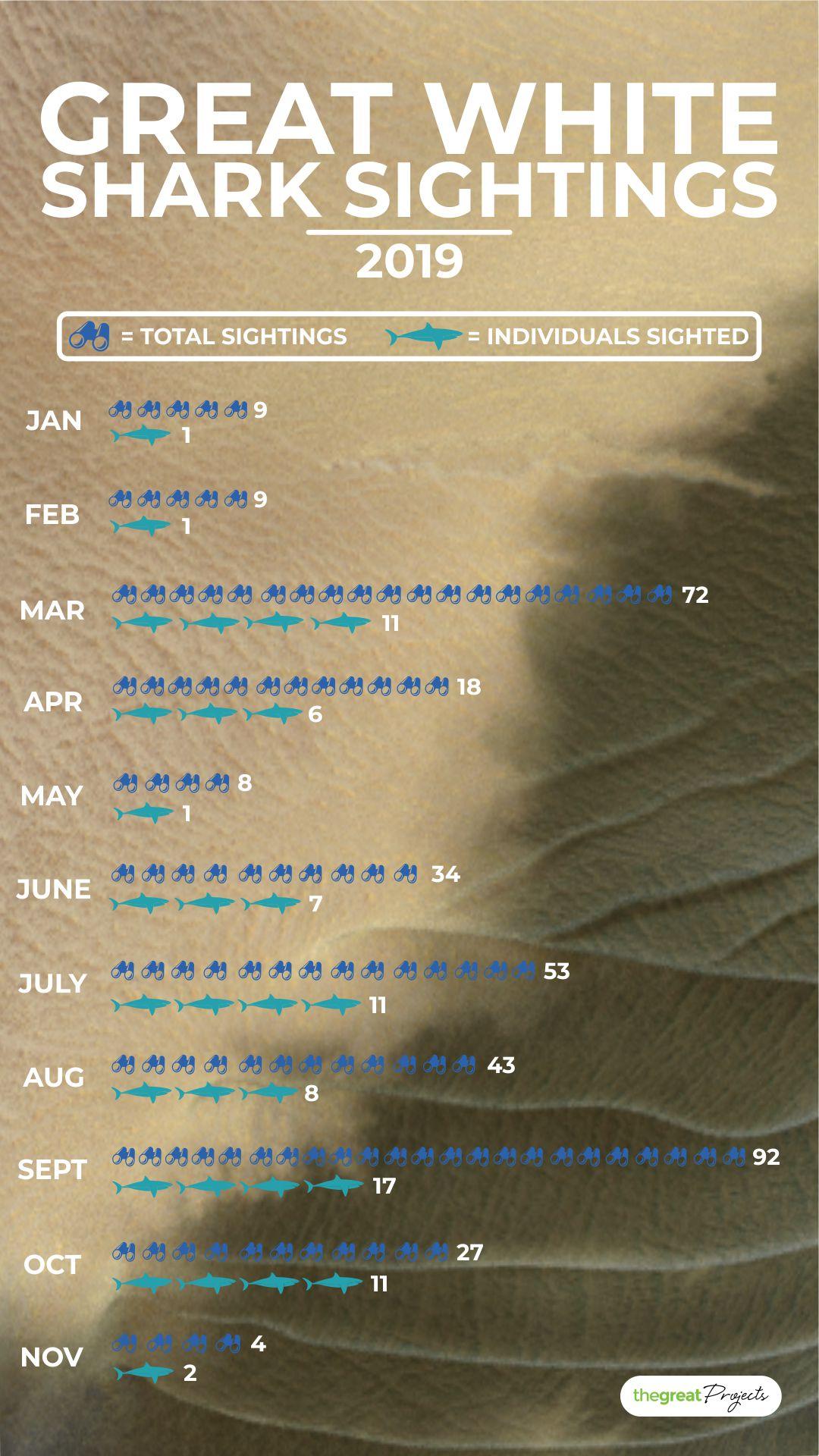 Great White Shark Sightings in 2019