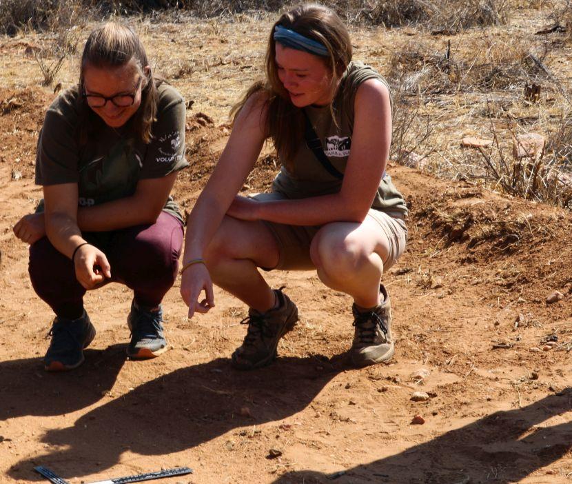 Volunteers At The Namibia Wildlife Sanctuary