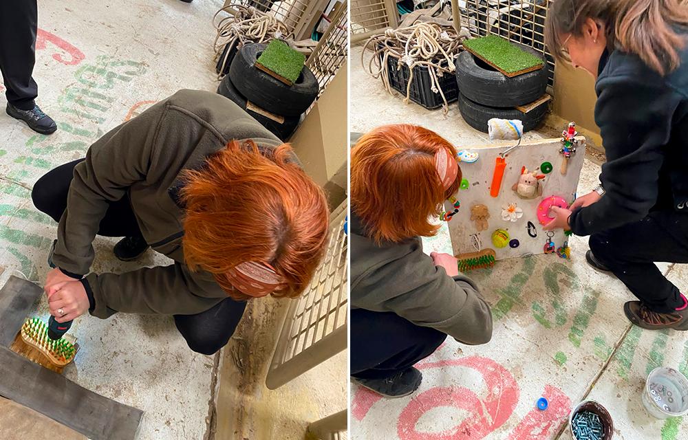 Holly and team making chimpanzee enrichment