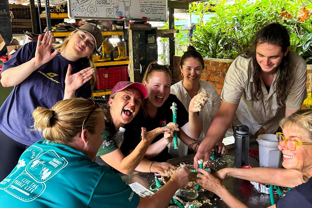 The Great Orangutan Project