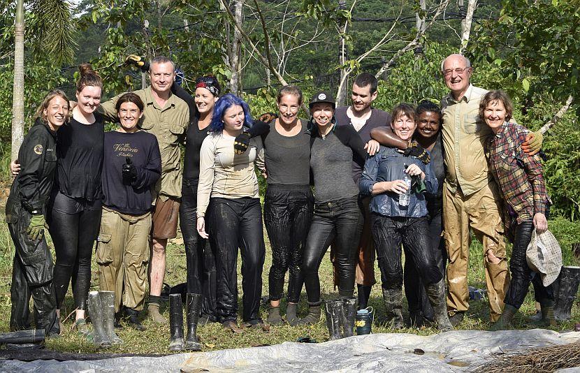 Rainforest volunteers