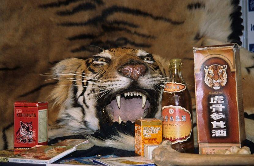 Tiger wine