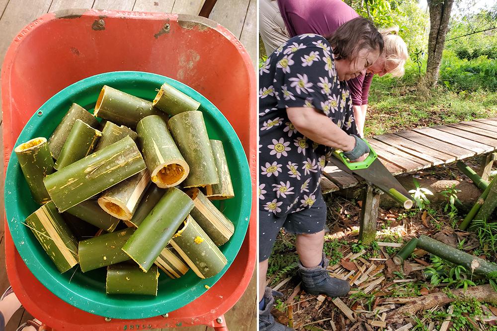 Bamboo Enrichment