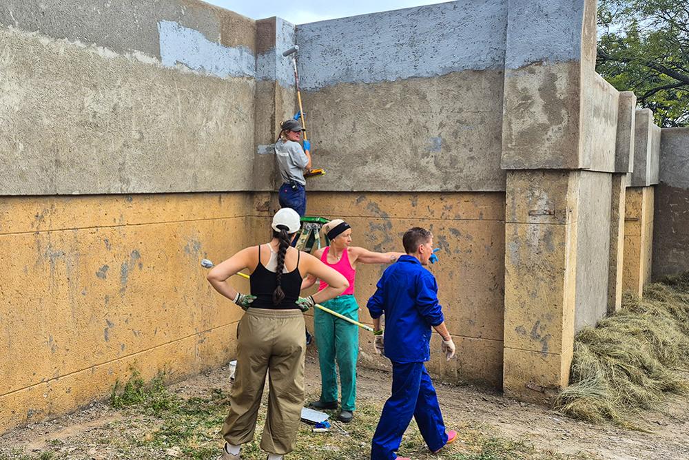 Sometimes Conservation Looks Like Painting a Fence