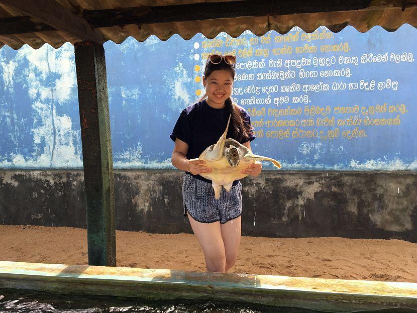 Sea Turtle Conservation Volunteer