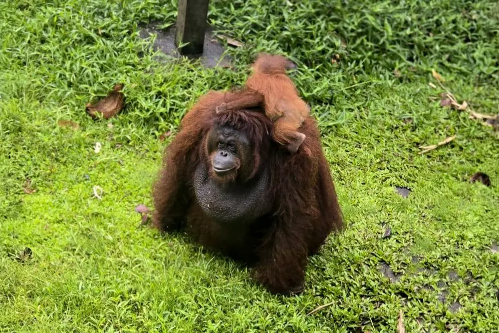 Catherine and Baby Leo