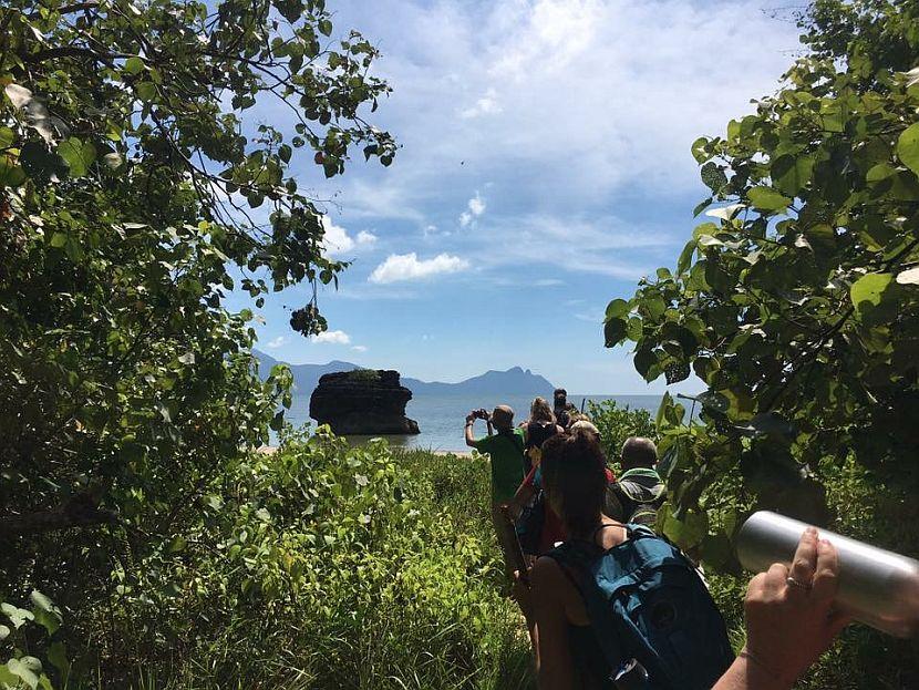 Beautiful View In Borneo