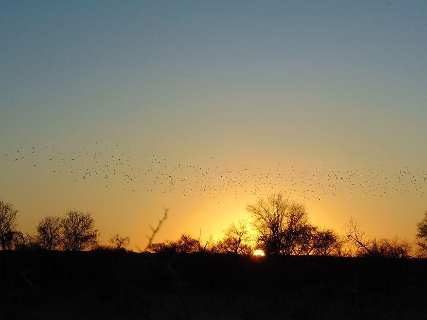 Namibian Sunset