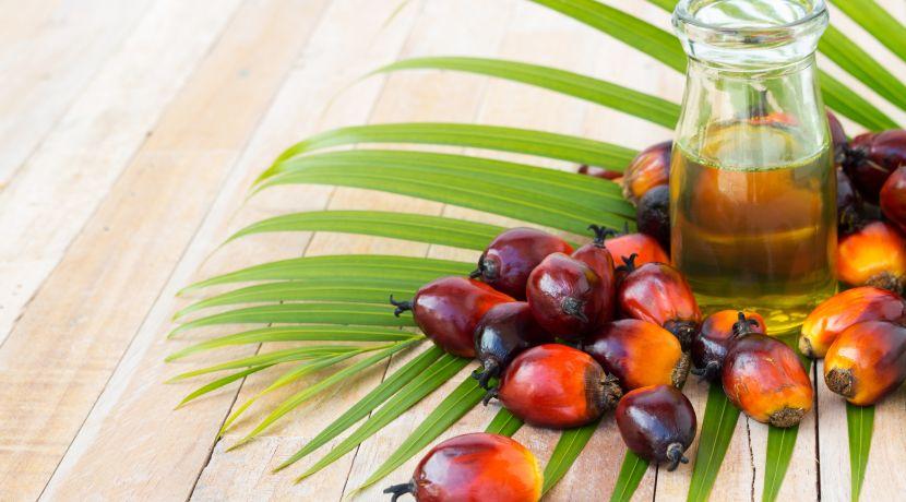 palm oil