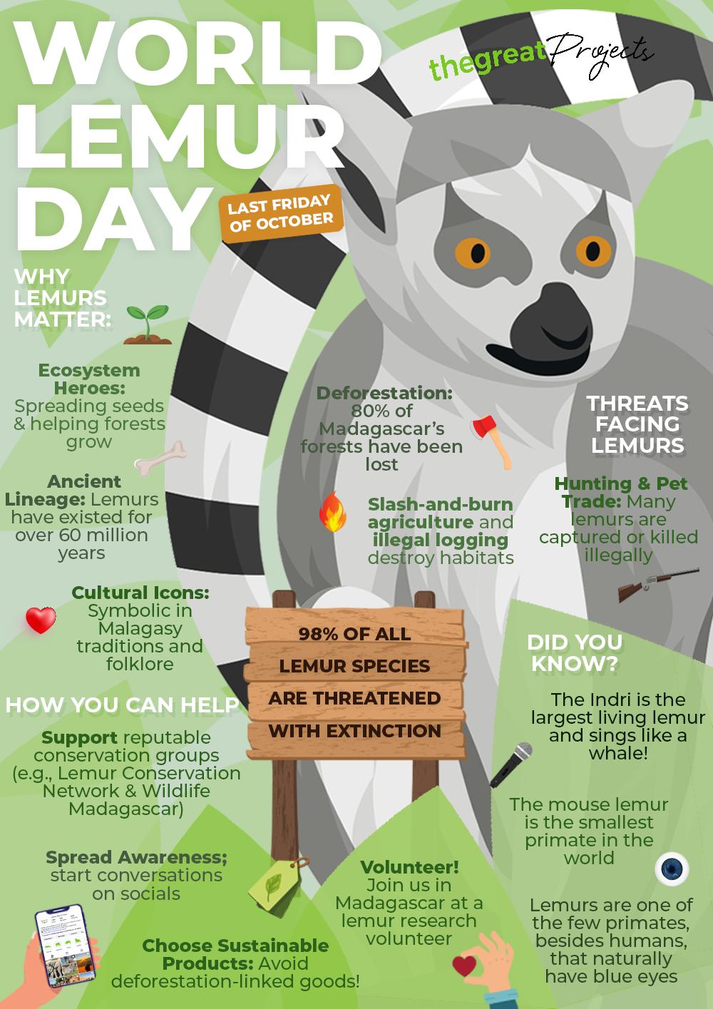 World Lemur Day 2025 Infographic
