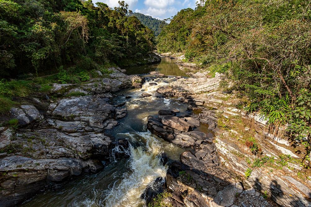Ranomafana National Park