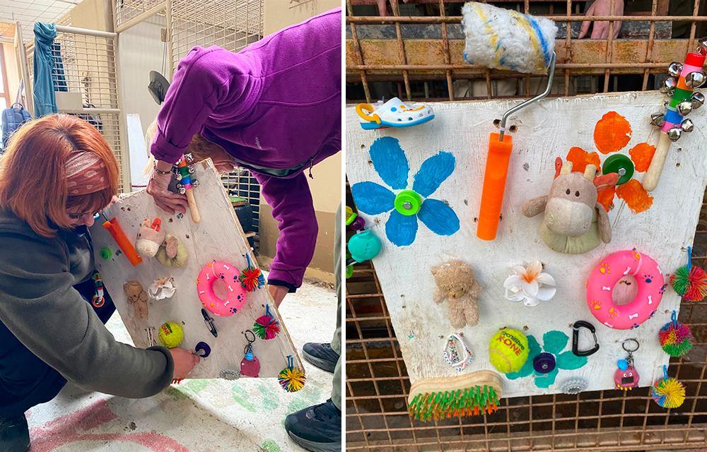 Sensory Board Enrichment for Chimpanzee Claude