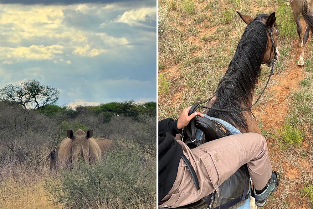 Rhino and Horse Riding at the Namibia Wildlife Sanctuary