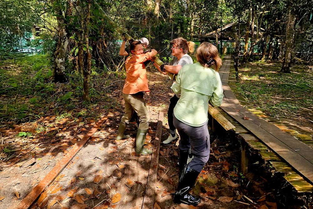 Volunteer Skills & Experience