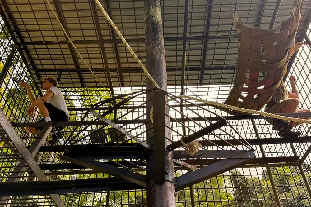 Volunteer Painting Enclosure