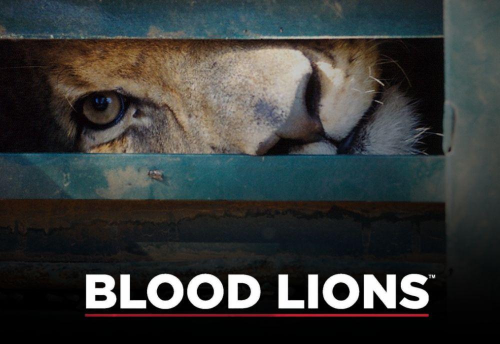 Blood Lions Documentary