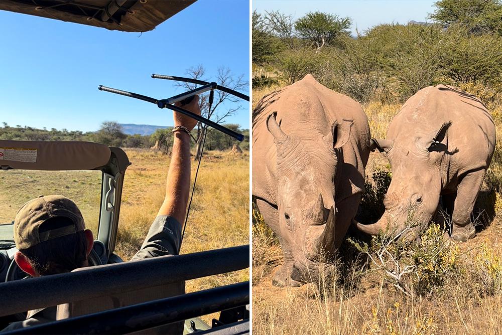 Rhino Tracking
