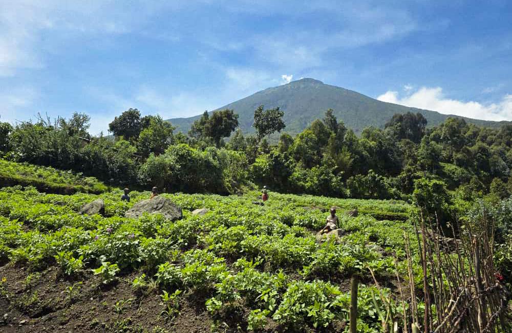 Crossing into Uganda