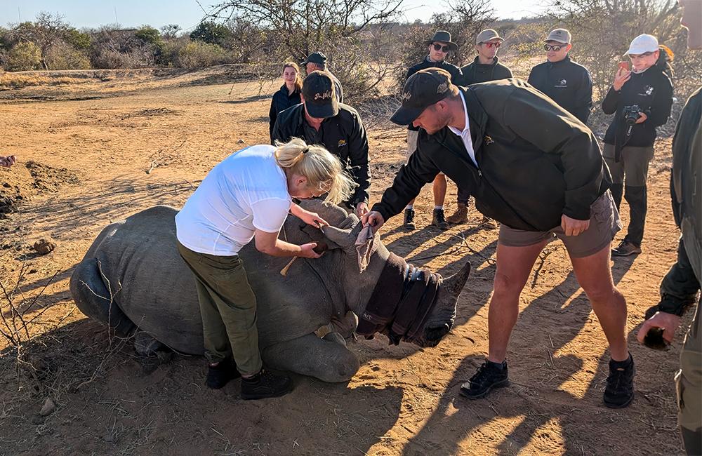 Rhino Rescue