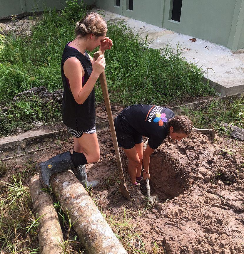 Volunteers building bear enclosure