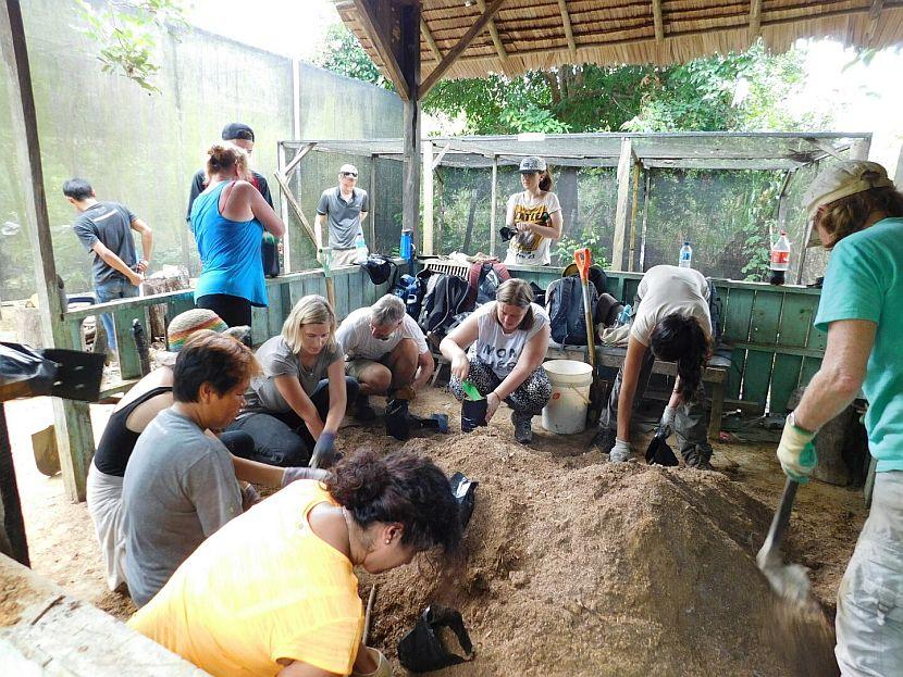 Tree Planting