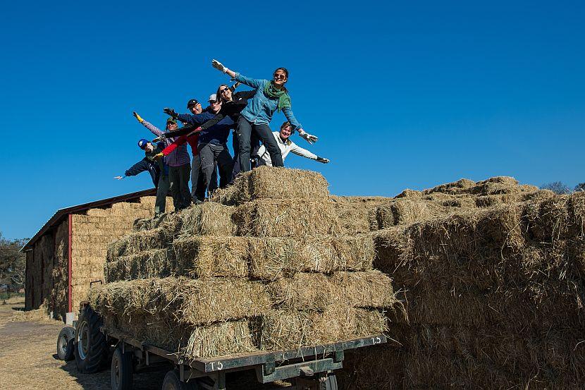 Volunteers working in Zimbabwe