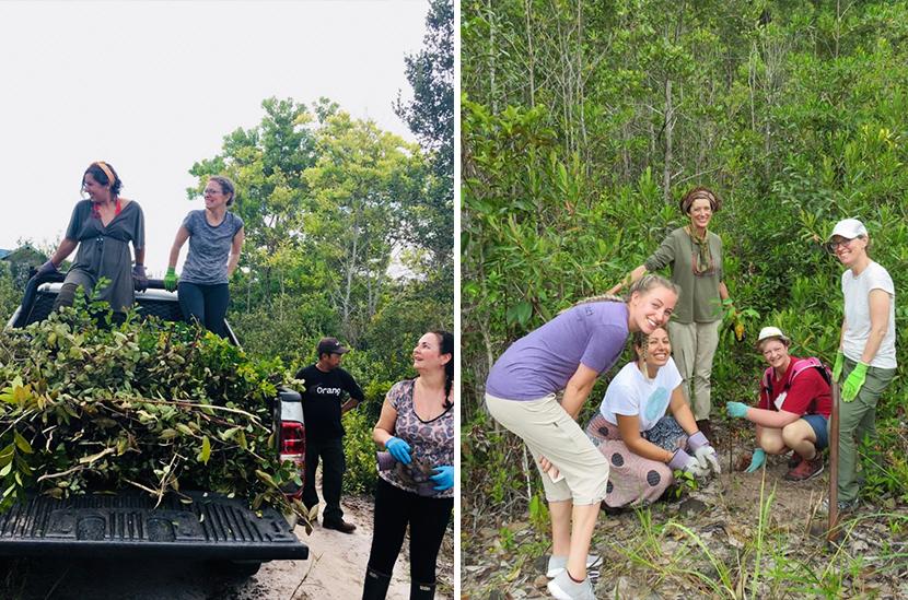 Volunteering at Nyaru Menteng Orangutan Sanctuary