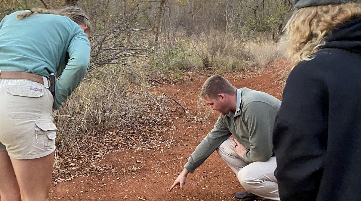 Footprint Identification @ SanWild Sanctuary & Reserve