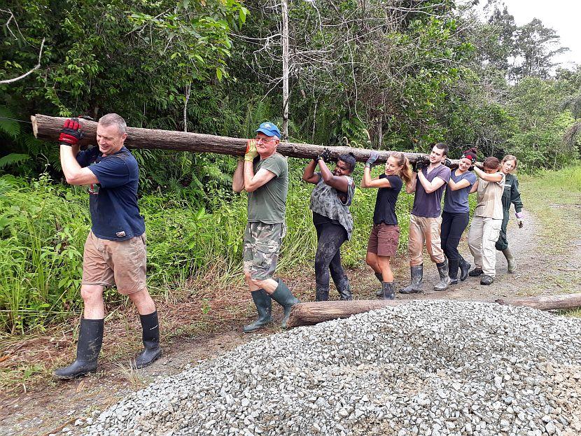 Volunteers working at an Orangutan Sanctuary