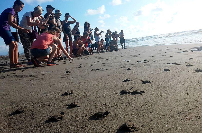 Volunteer in Costa Rica