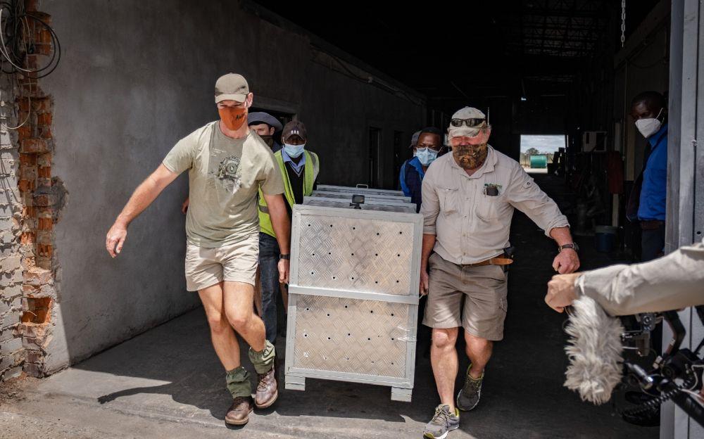 Kumbe and Jabari Being Transported