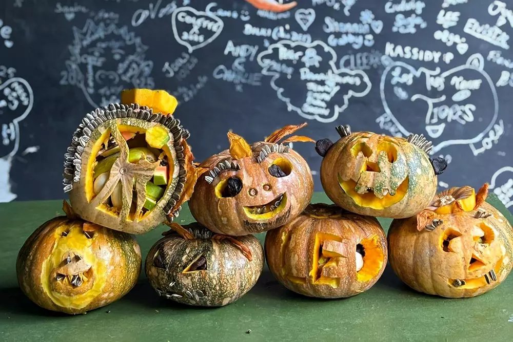 Carved Pumpkin Enrichment