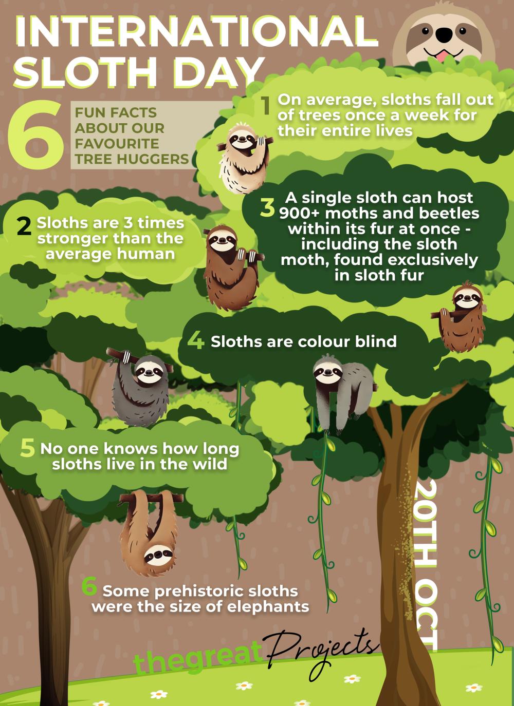 International Sloth Day 2024 - Fun Facts