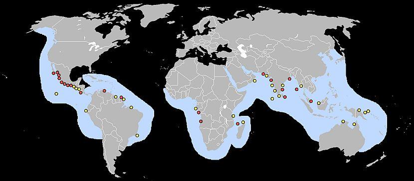 Olive Ridley Map