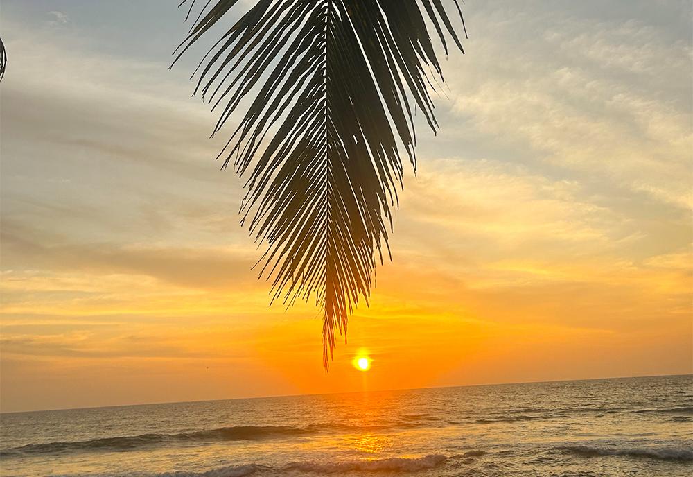 Sunset