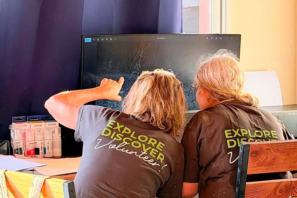 Volunteers Checking Camera Trap Footage